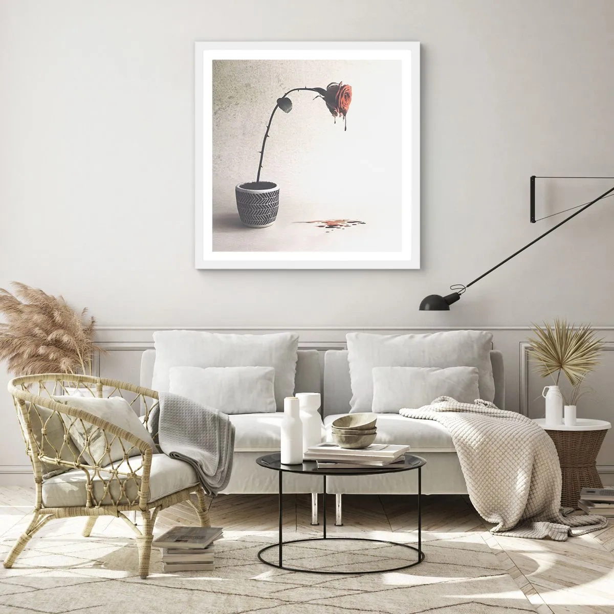 Affiche dans un cadre blanc - Poster - Rosa dolorosa - 50x50 cm