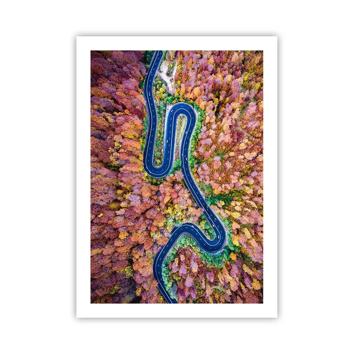 Affiche - Poster - Une route sinueuse dans une forêt d'automne vue à vol d'oiseau - 50x70cm - Route sinueuse à travers la forêt - Décoration murale moderne pour le salon et la chambre ARTTOR