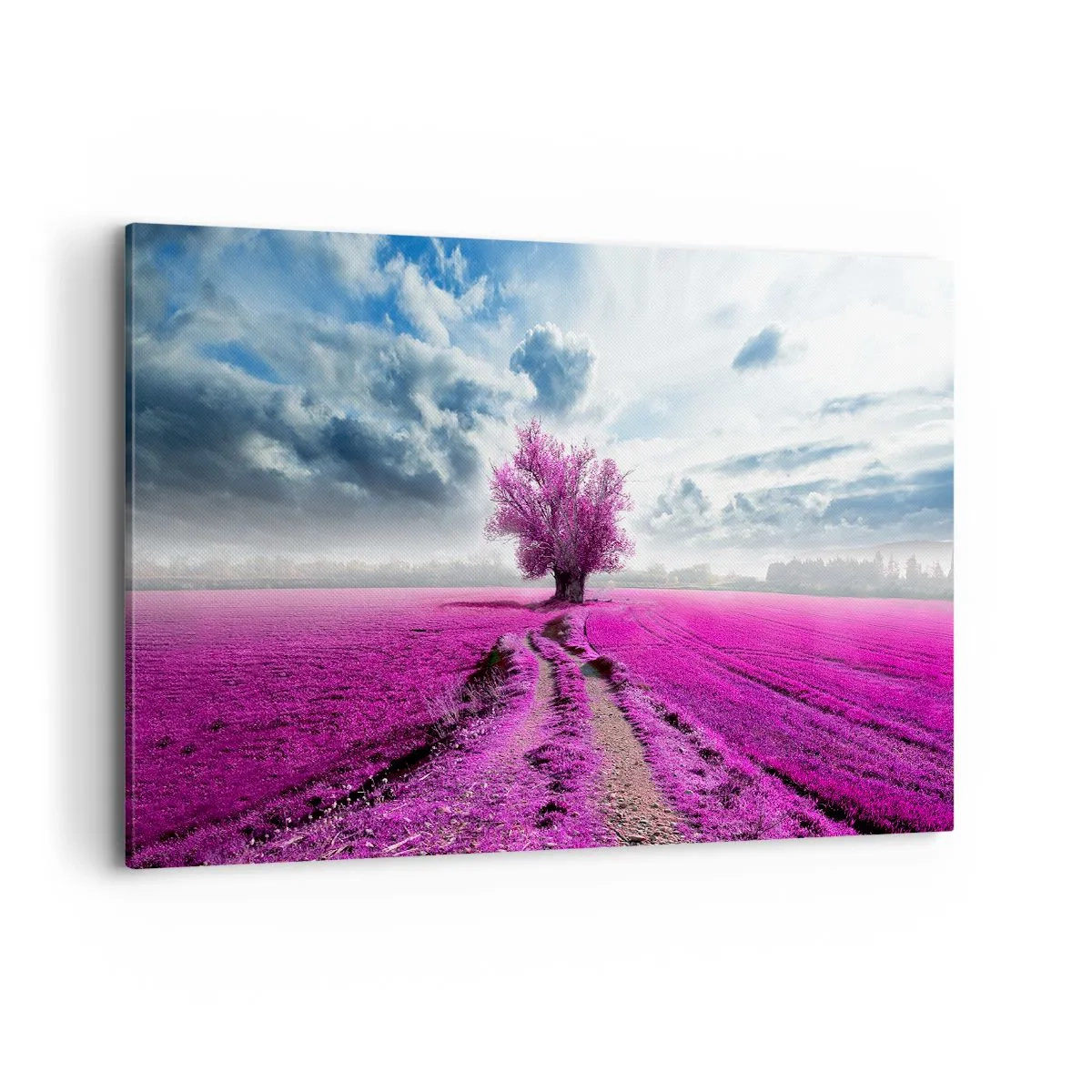 Impression sur toile - Image sur toile - Un arbre solitaire dans un champ dans une nuance de rose intense - 120x80cm - Lande - nature sauvage - Décoration murale moderne pour le salon et la chambre ARTTOR