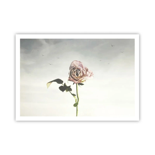 Affiche - Poster - Une rose délicate contre un ciel lumineux avec des oiseaux en vol - 100x70cm - Bonjour de printemps - Décoration murale moderne pour le salon et la chambre ARTTOR