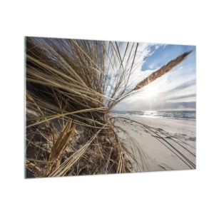 Impression sur verre - Image sur verre - Herbe dorée sur fond de plage de sable et de mer - 100x70cm - Rencontre des éléments - Décoration murale moderne pour le salon et la chambre ARTTOR
