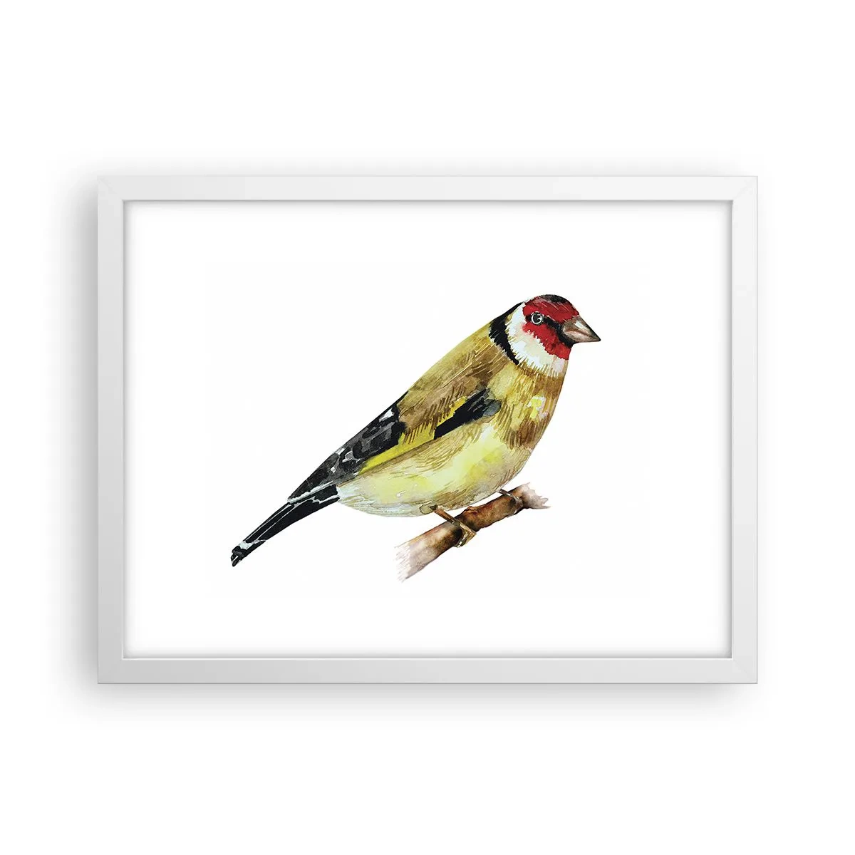 Affiche dans un cadre blanc - Poster - Portrait d'oiseau - 40x30 cm