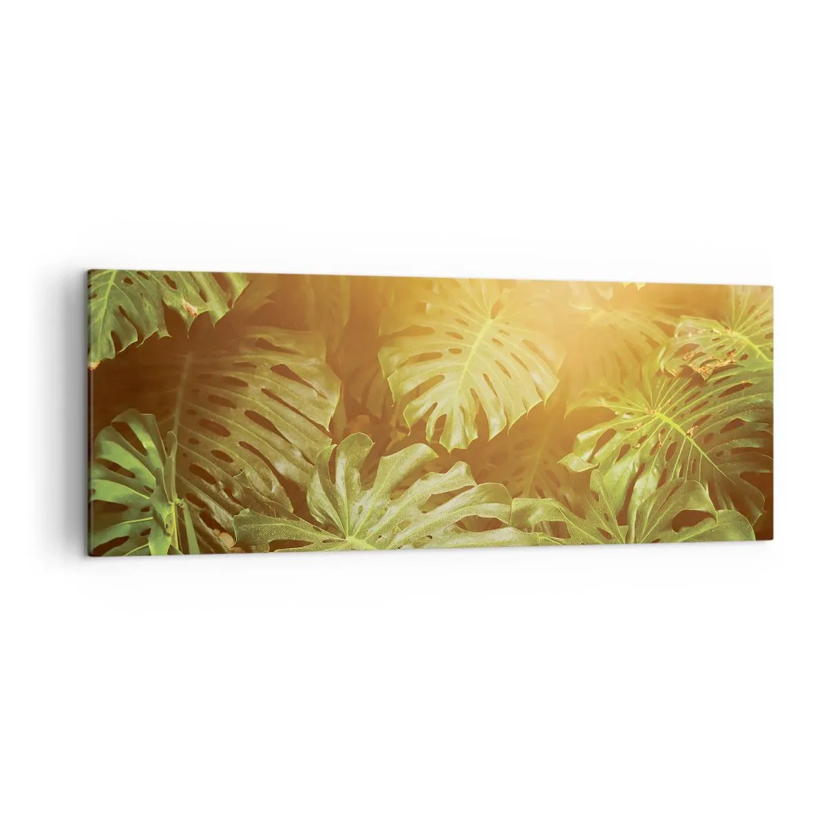Impression sur toile - Image sur toile - Feuilles de Monstera au soleil sur fond naturel - 140x50cm - Se fondre dans la verdure - Décoration murale moderne pour le salon et la chambre ARTTOR