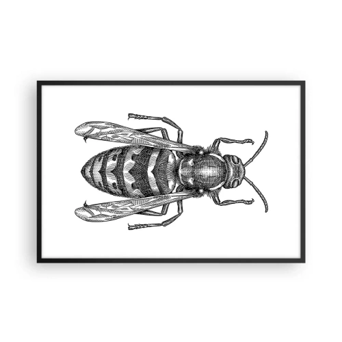 Affiche dans un cadre noir - Poster - D'une planète d'insectes - 91x61 cm