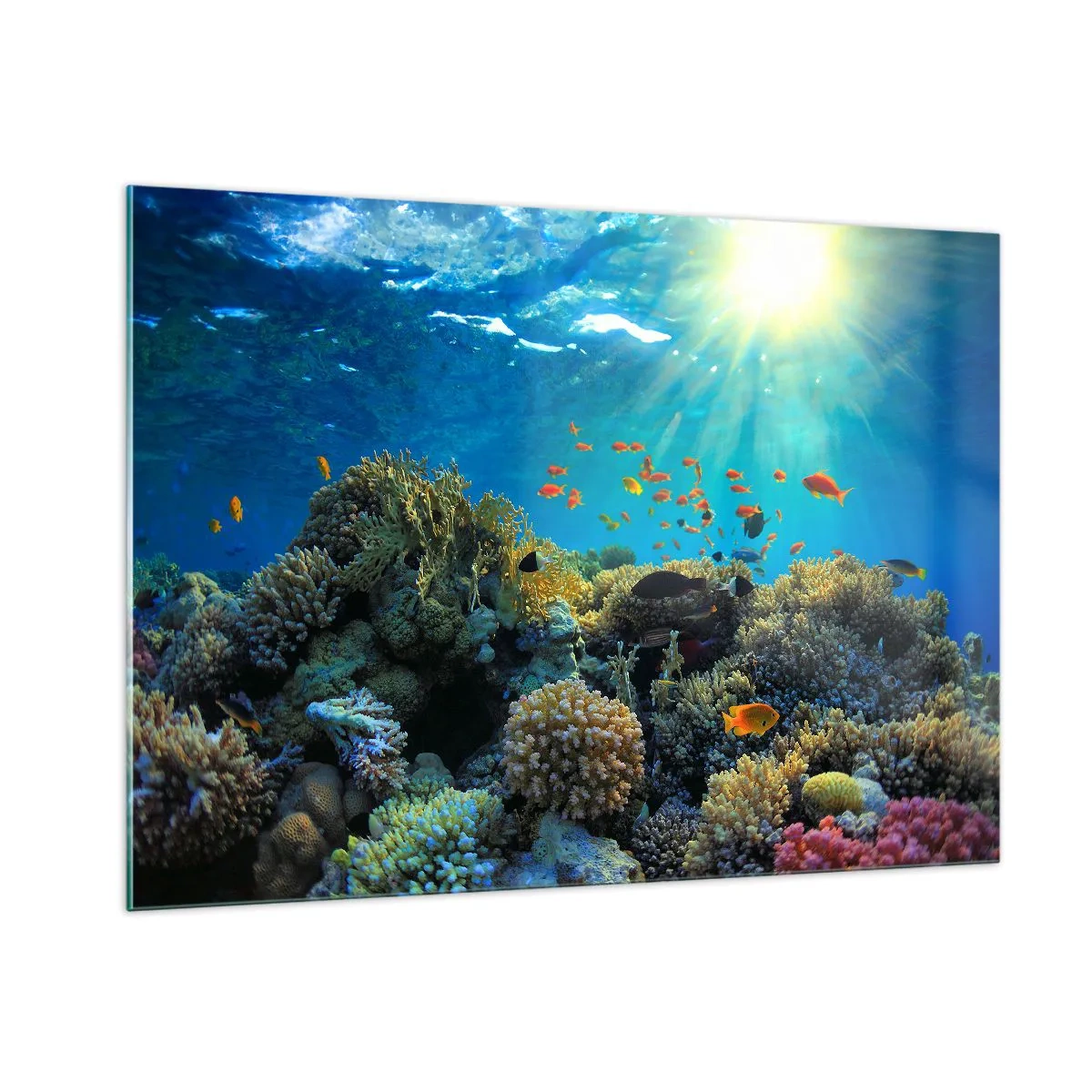 Impression sur verre - Image sur verre - Un récif corallien coloré illuminé par les rayons du soleil - 100x70cm - Trésor sous-marin - Décoration murale moderne pour le salon et la chambre ARTTOR