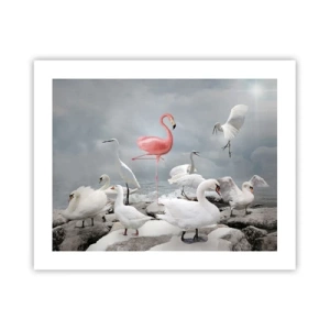 Affiche - Poster - Comment suis-je arrivé là? - 50x40 cm