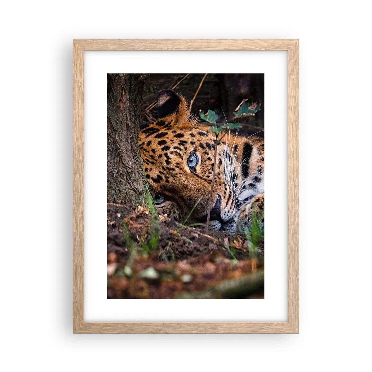 Affiche dans un chêne clair - Poster - Fais-moi confiance - 30x40 cm