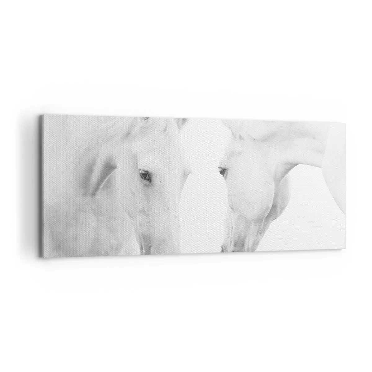 Impression sur toile - Image sur toile - Serait-ce de l’amitié? - 100x40 cm