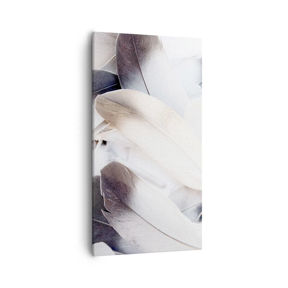 Impression sur toile - Image sur toile - Presque angélique - 55x100 cm