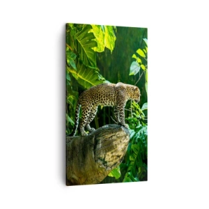 Impression sur toile - Image sur toile - À la chasse? - 45x80 cm