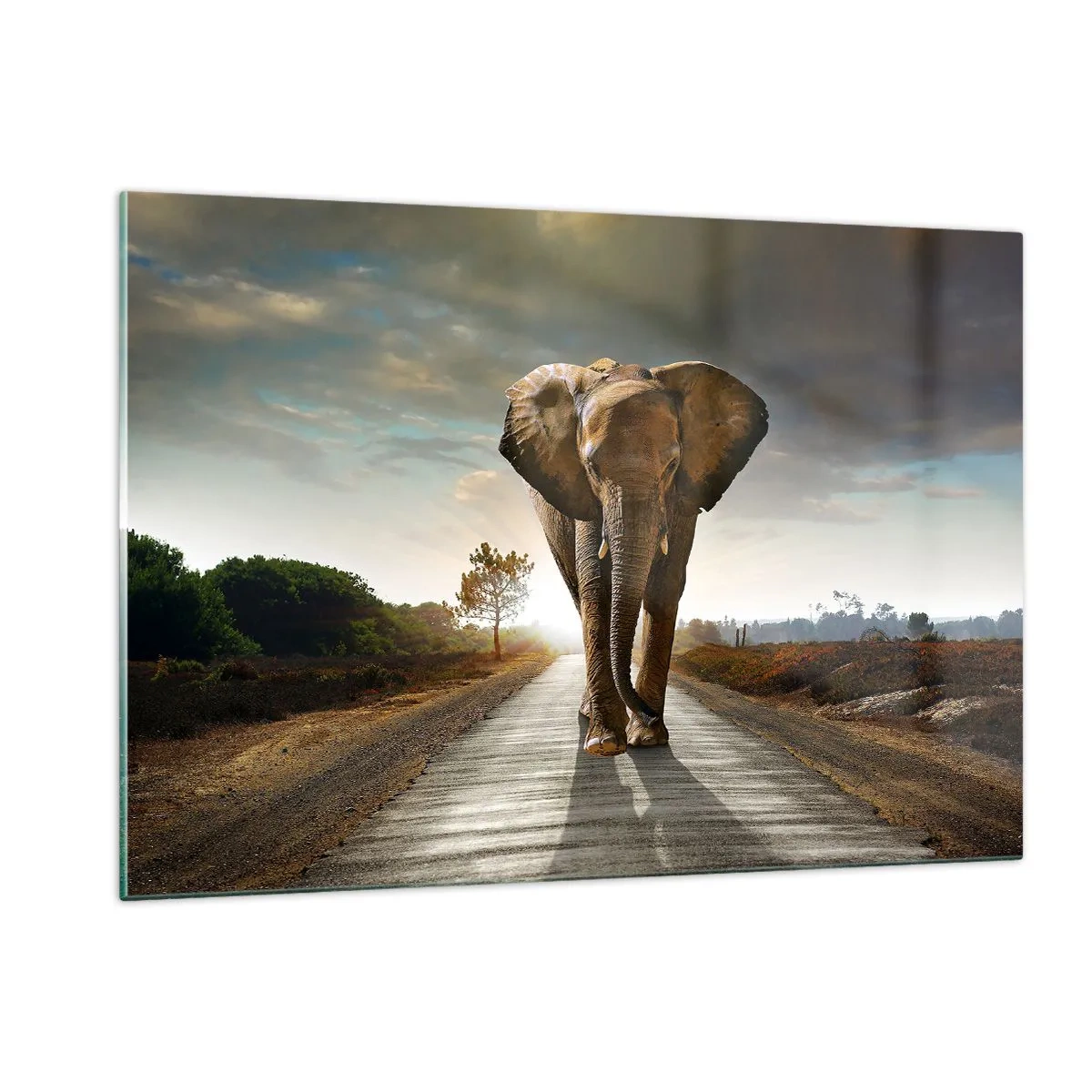 Impression sur verre - Image sur verre - Un éléphant marchant le long de la route au coucher du soleil - 120x80cm - Et pas du tout en porcelaine - Décoration murale moderne pour le salon et la chambre ARTTOR