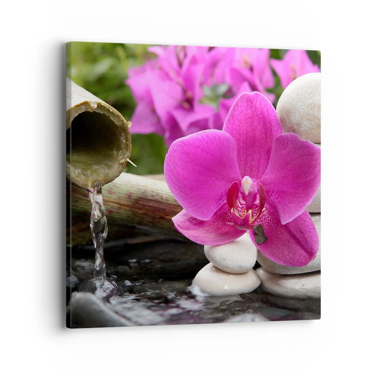 Impression sur toile - Image sur toile - Tu te reposes déjà - 40x40 cm