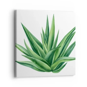 Impression sur toile - Image sur toile - Vert – force – vie - 30x30 cm