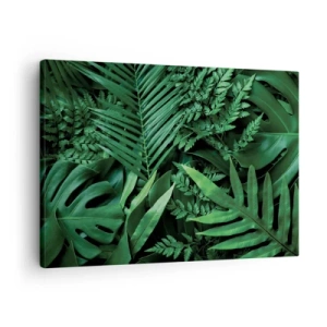 Impression sur toile - Image sur toile - Feuilles tropicales vertes dans une composition dense et naturelle - 70x50cm - Emmitouflé de verdure - Décoration murale moderne pour le salon et la chambre ARTTOR