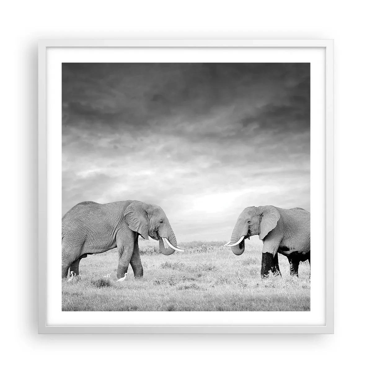 Affiche dans un cadre blanc - Poster - Le gris est beau - 60x60 cm