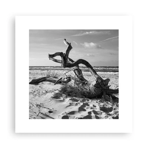 Affiche - Poster - Sculpture marine - 30x30 cm