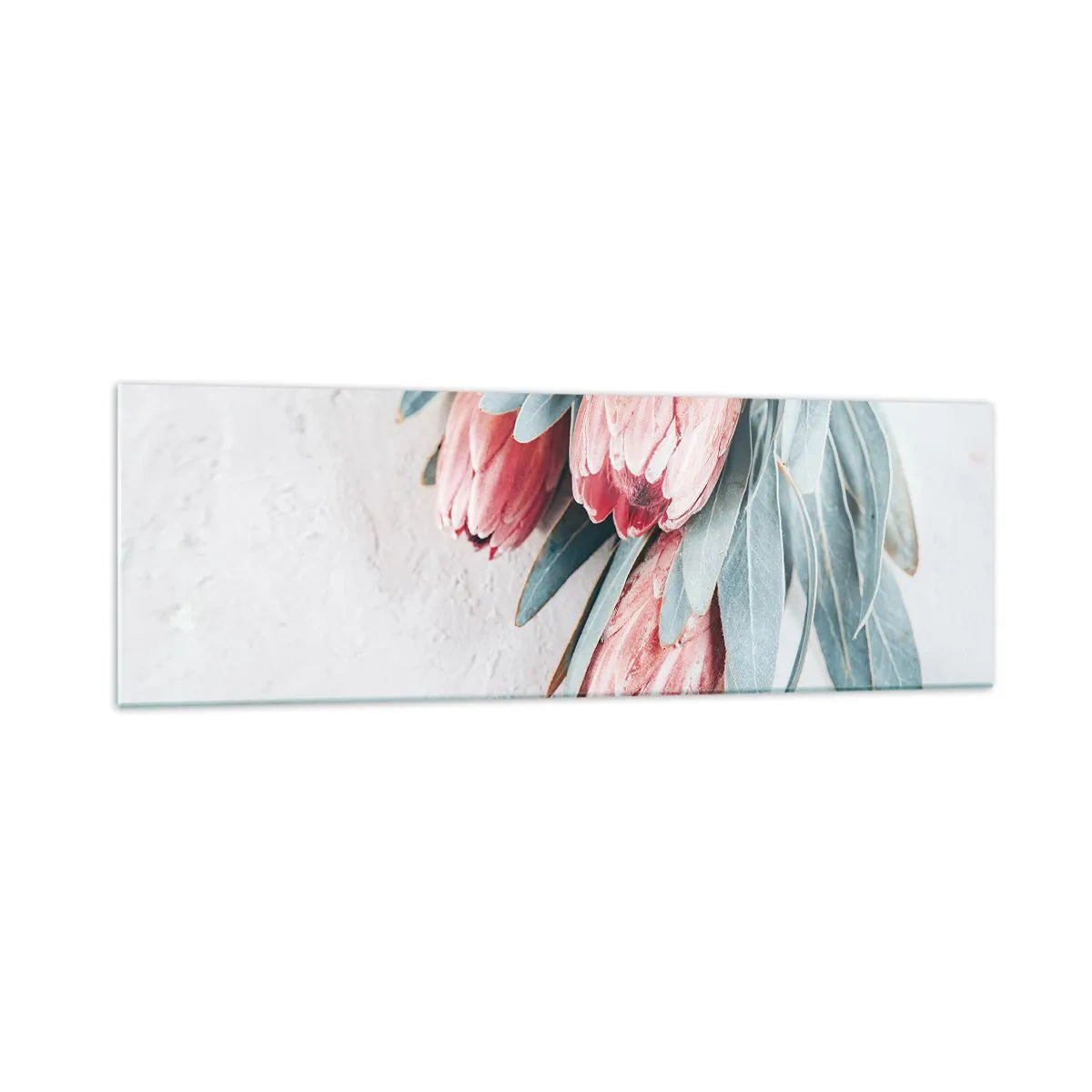 Impression sur verre - Image sur verre - Fleurs de protéa roses subtiles sur fond clair - 160x50cm - Honte de leur propre beauté - Décoration murale moderne pour le salon et la chambre ARTTOR