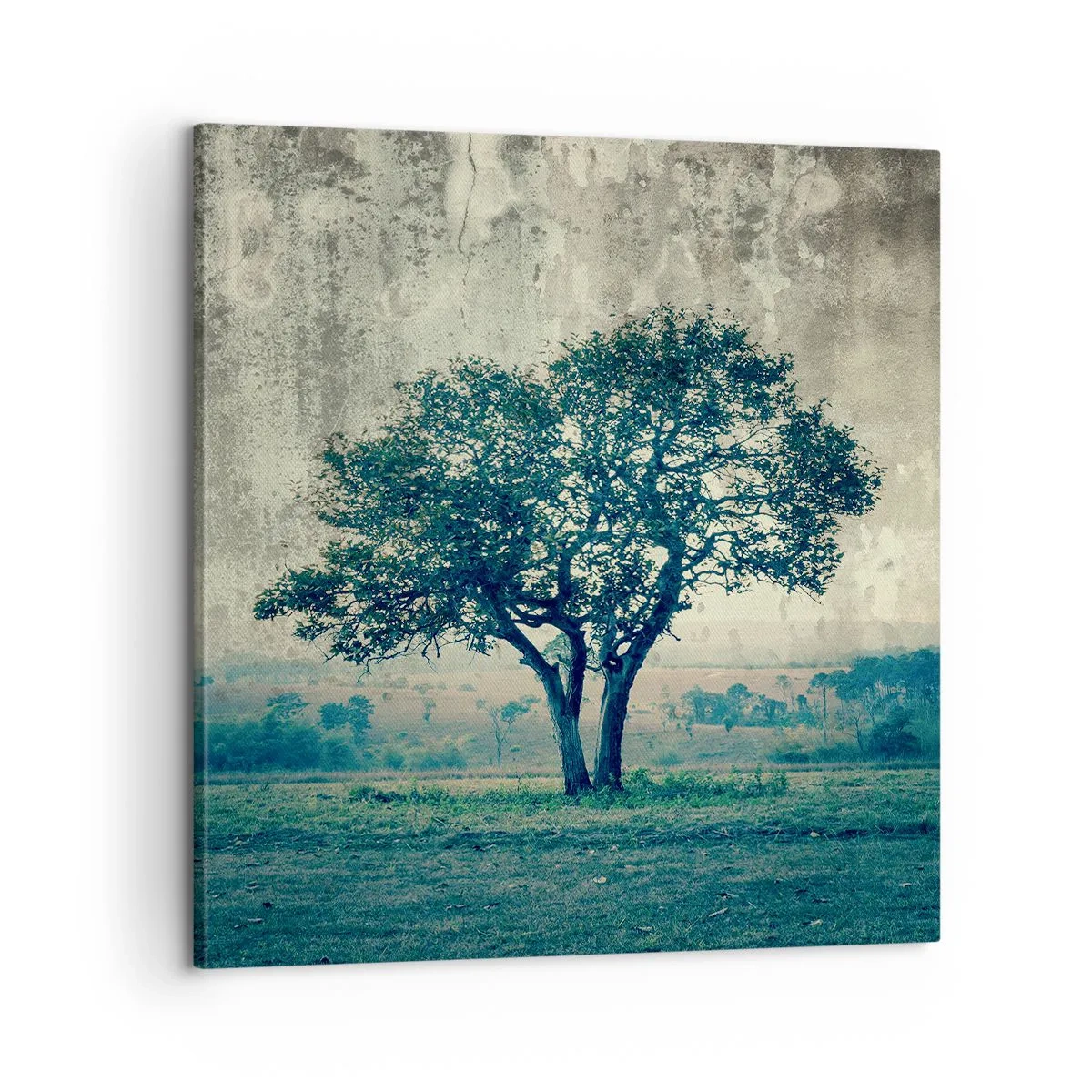 Impression sur toile - Image sur toile - Un pommier sur un champ bleu ? - 60x60 cm