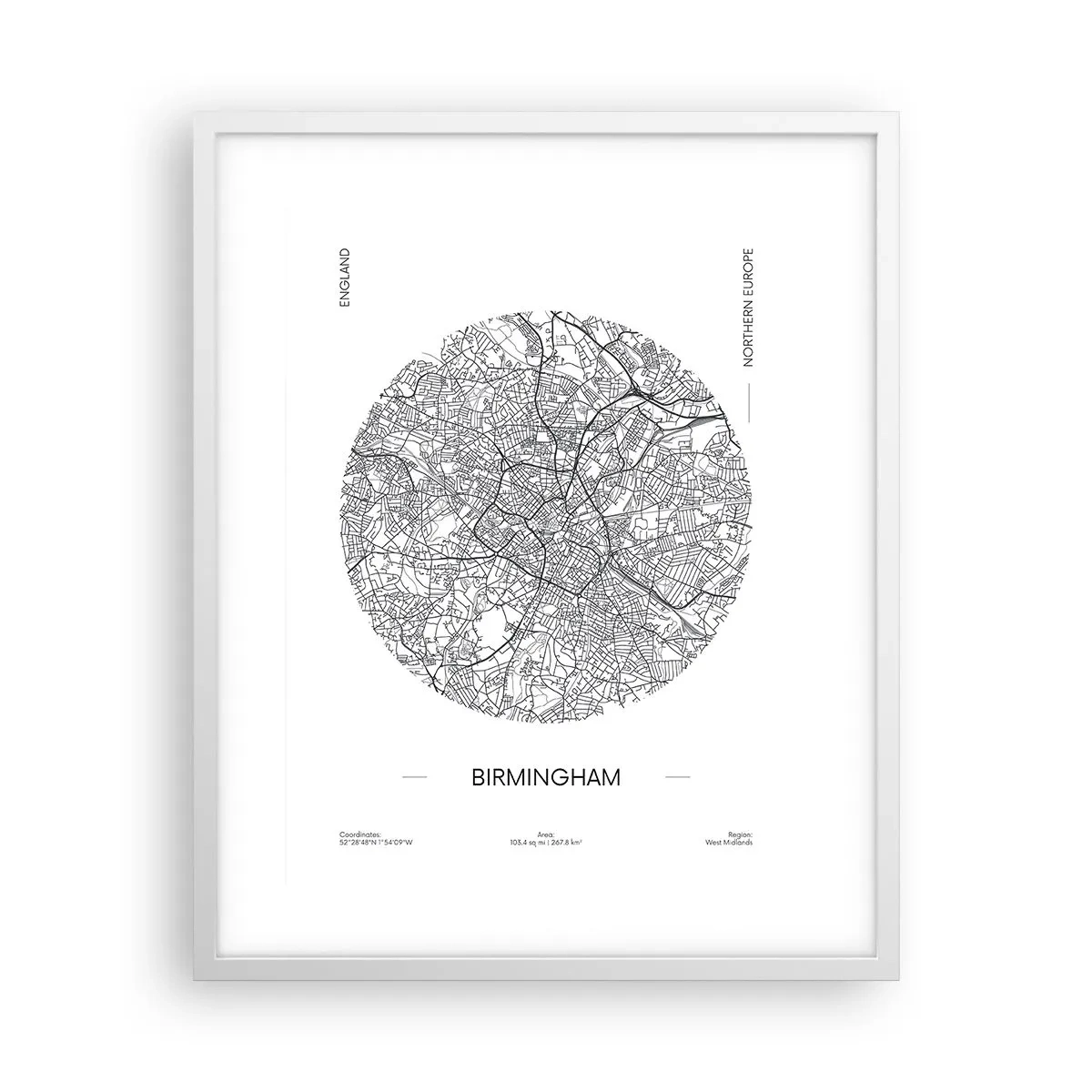 Affiche dans un cadre blanc - Poster - Anatomie de Birmingham - 40x50 cm