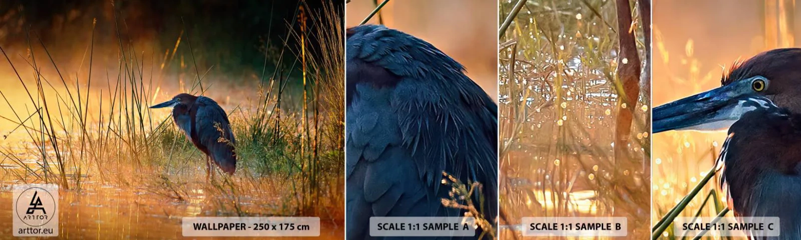 Échantillon de Papier Peint Autocollant Deluxe Sticker - Allez, laissez-moi en paix avec ces photos - Héron, Oiseau, Nature - 100x30 cm