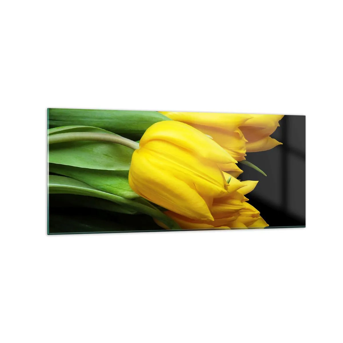 Impression sur verre - Image sur verre - Un bouquet de tulipes jaunes sur fond noir - 120x50cm - Lever de soleil pur - Décoration murale moderne pour le salon et la chambre ARTTOR
