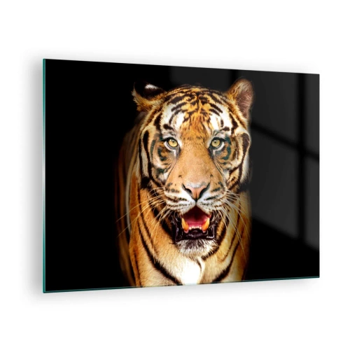 Impression sur verre - Image sur verre - Un tigre sur fond sombre avec un regard intense - 70x50cm - Le coeur sauvageon - Décoration murale moderne pour le salon et la chambre ARTTOR