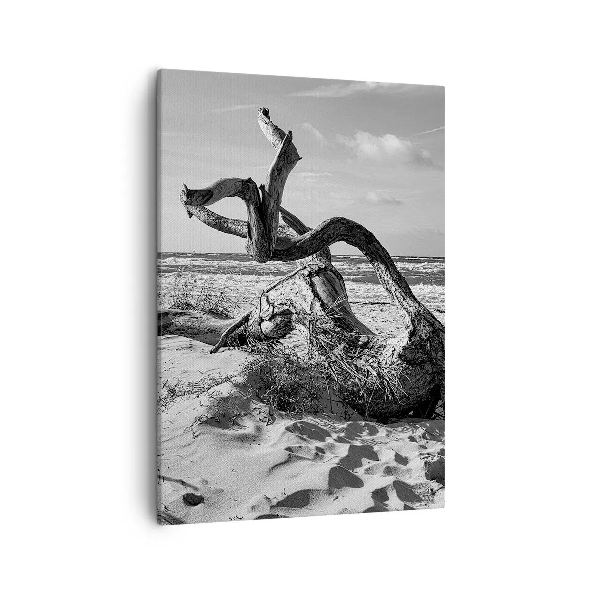 Impression sur toile - Image sur toile - Paysage noir et blanc avec un arbre mort sur la plage - 50x70cm - Sculpture marine - Décoration murale moderne pour le salon et la chambre ARTTOR