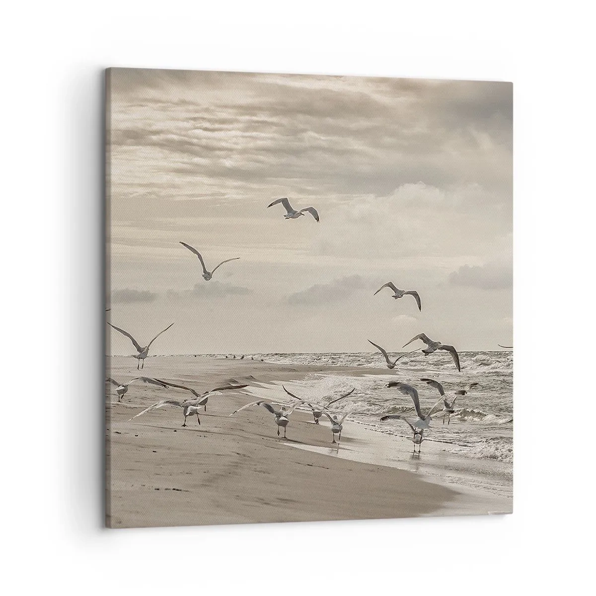 Impression sur toile - Image sur toile - Le bruit de la mer, le chant des oiseaux - 50x50 cm