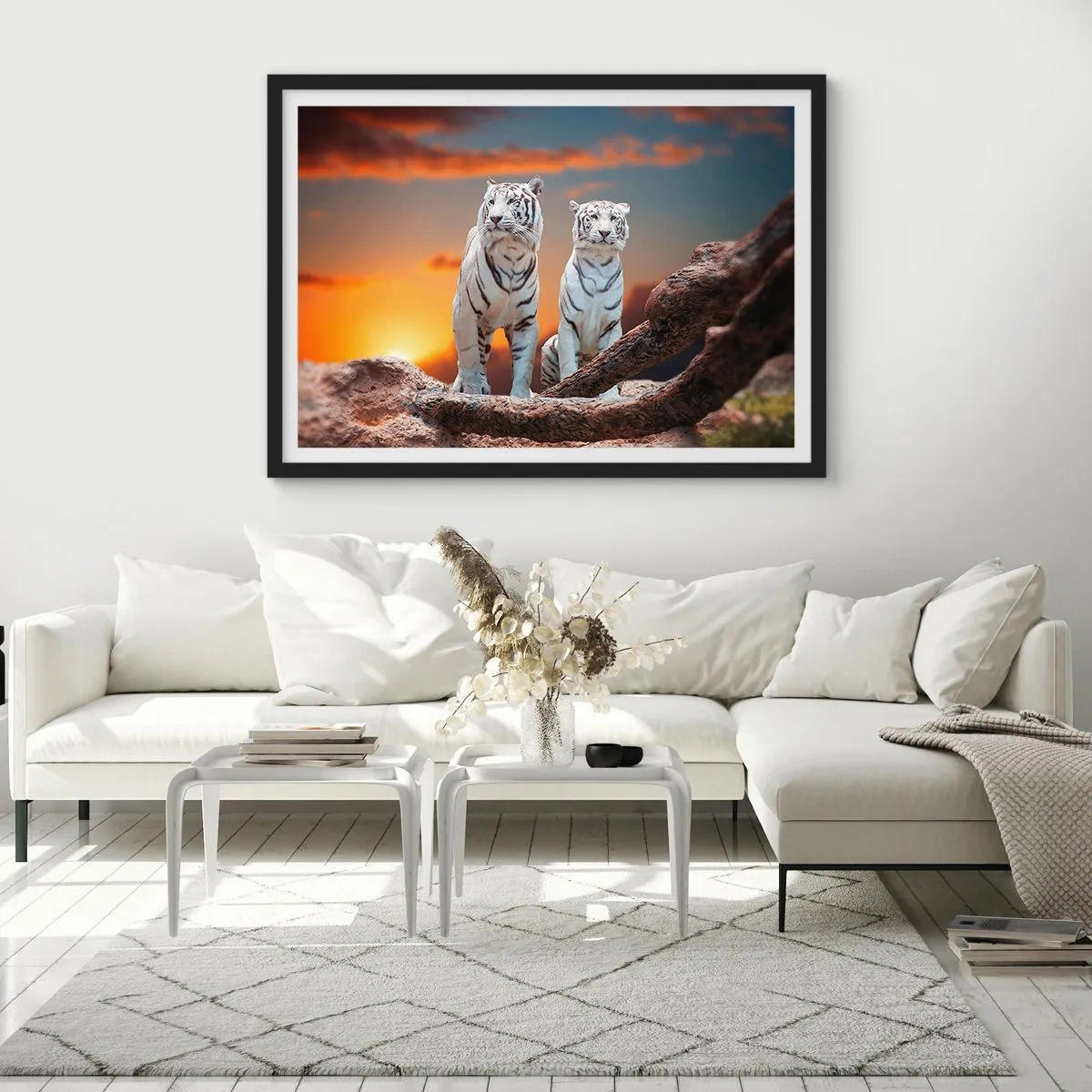 Affiche dans un cadre noir - Poster - Tigres blancs au soleil couchant sur fond de nature - 70x50cm - Tout comme à Narnia - Décoration murale moderne pour le salon et la chambre ARTTOR