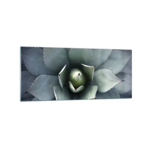 Impression sur verre - Image sur verre - Gros plan d'une rosette d'agave aux délicates nuances de vert - 120x50cm - Wabi et observe - Décoration murale moderne pour le salon et la chambre ARTTOR