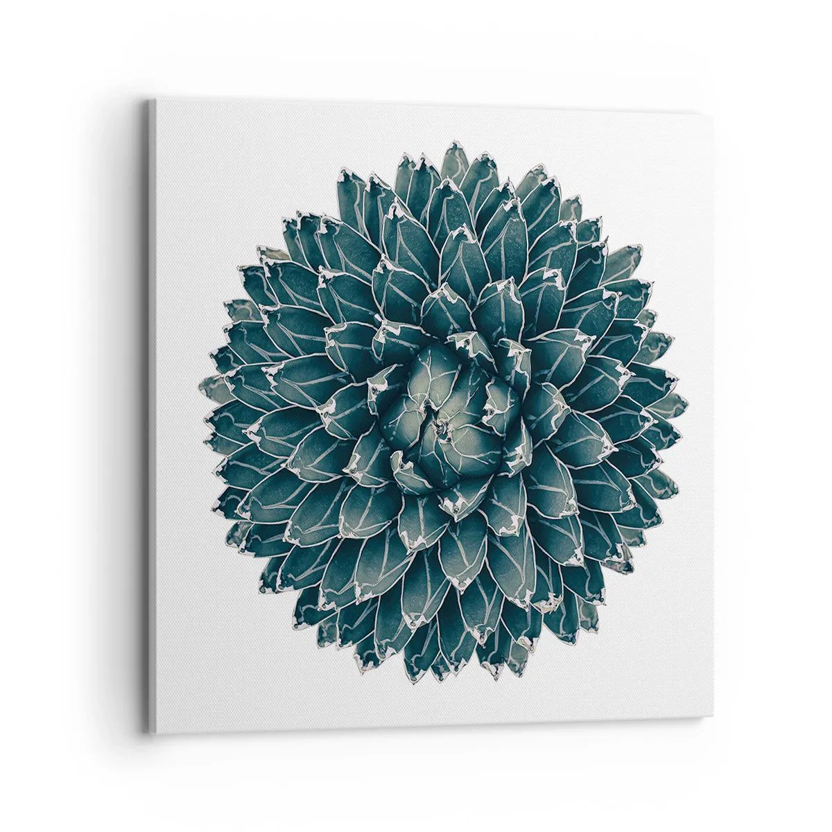 Impression sur toile - Image sur toile - Étoile du désert - 70x70 cm