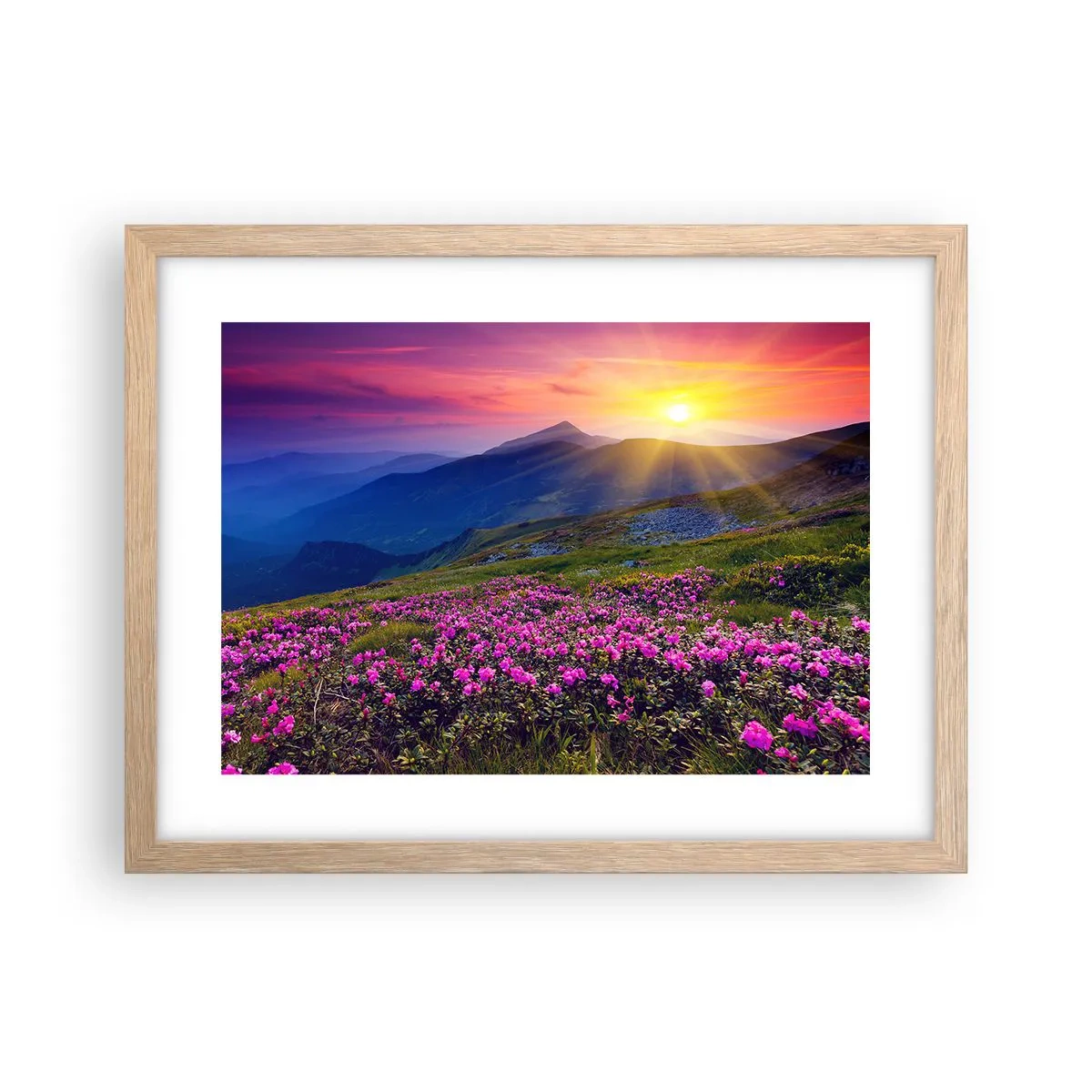 Affiche dans un chêne clair - Poster - … Et autour, ça sent le pin des montagnes et l'odeur de la prairie - 40x30 cm