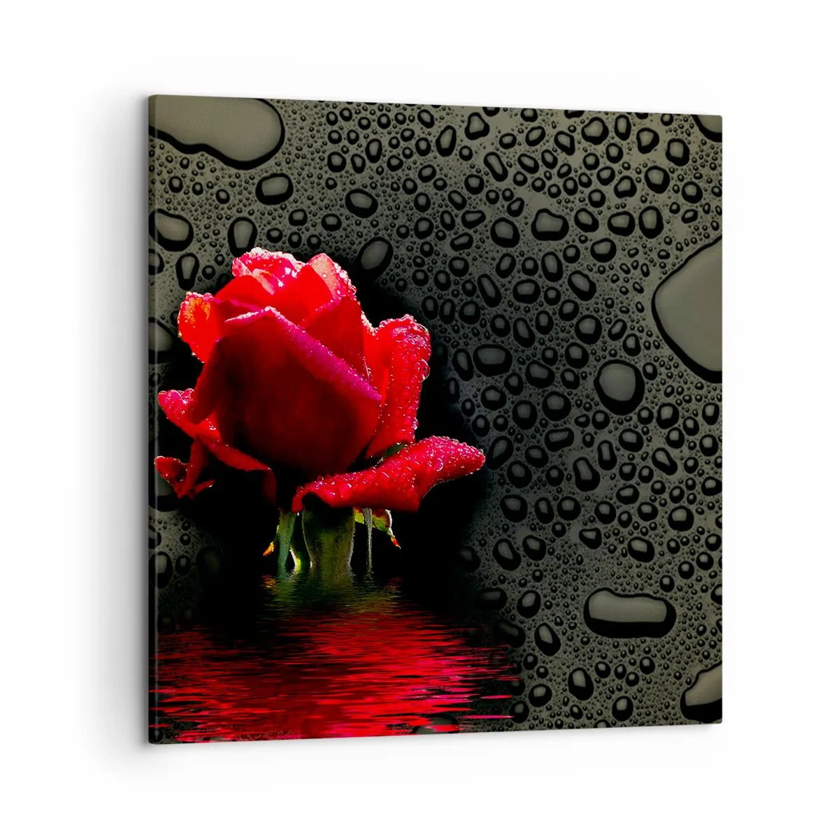 Impression sur toile - Image sur toile - Rouge et noir - 50x50 cm