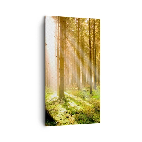 Impression sur toile - Image sur toile - Les elfes vont bientôt apparaître - 45x80 cm