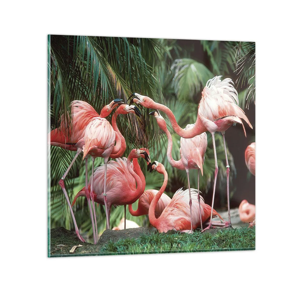 Impression sur verre - Image sur verre - Potins d'après-midi - 50x50 cm