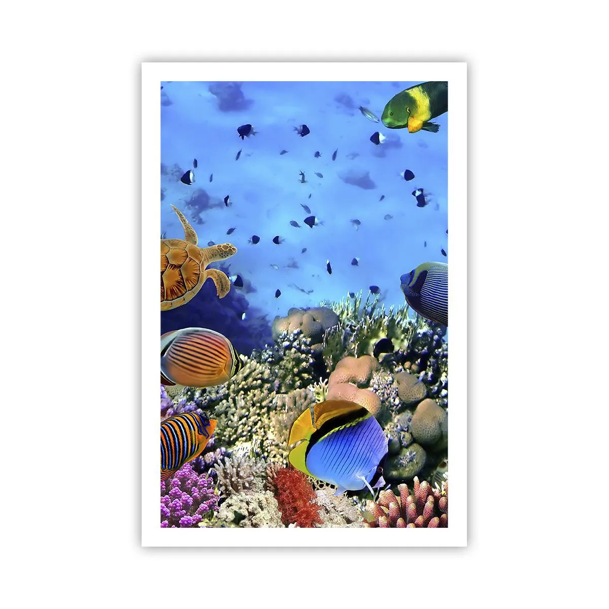 Affiche - Poster - Et que sait-on de la vie… - 61x91 cm