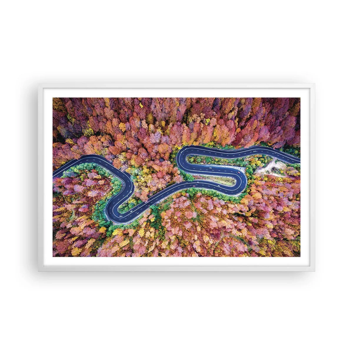 Affiche dans un cadre blanc - Poster - Route sinueuse à travers la forêt - 91x61 cm