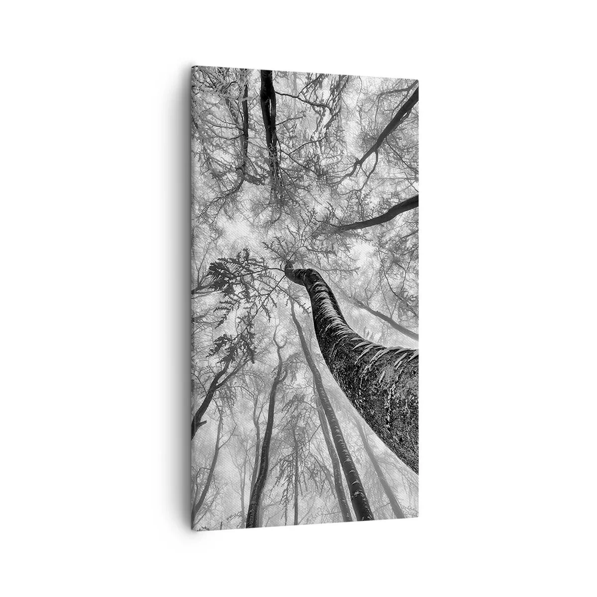 Impression sur toile - Image sur toile - Course vers la lumière - 55x100 cm