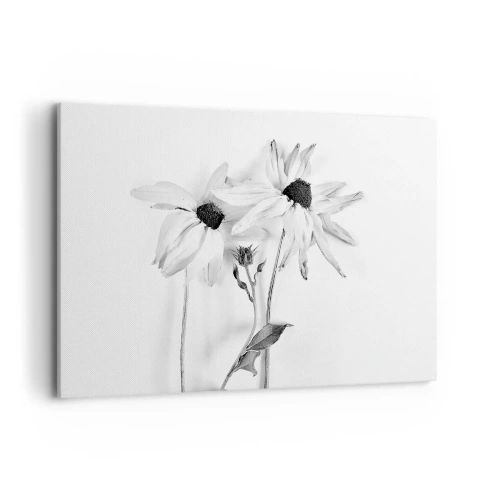 Impression sur toile - Image sur toile - Fleurs noires et blanches avec une composition subtile - 100x70cm - Personne ne souhaite être seul - Décoration murale moderne pour le salon et la chambre ARTTOR