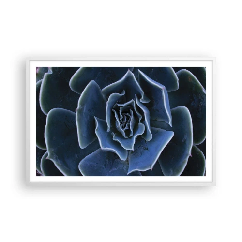 Affiche dans un cadre blanc - Poster - Fleur du désert - 91x61 cm