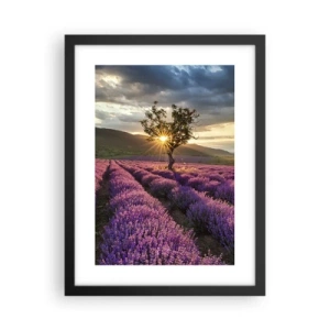 Affiche dans un cadre noir - Poster - Arôme de couleur lilas - 30x40 cm
