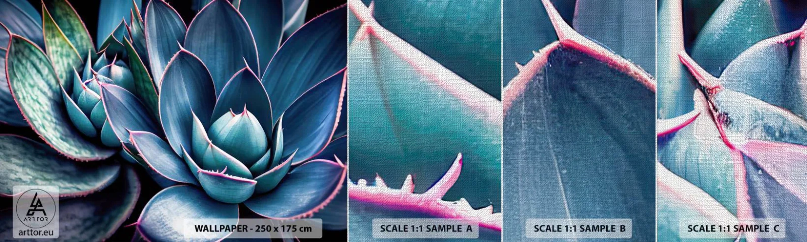 Échantillon de Papier Peint Premium Canvas - Force vital - Fleurs, Botanique, Plantes succulentes - 100x30 cm