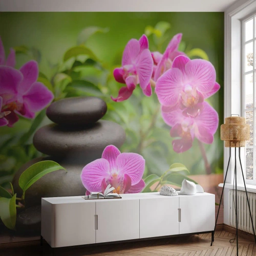 Papier Peint Autocollant Deluxe Sticker - Pyramide de la Paix - Fleurs, Orchidée, Orchidée - 250x175 cm