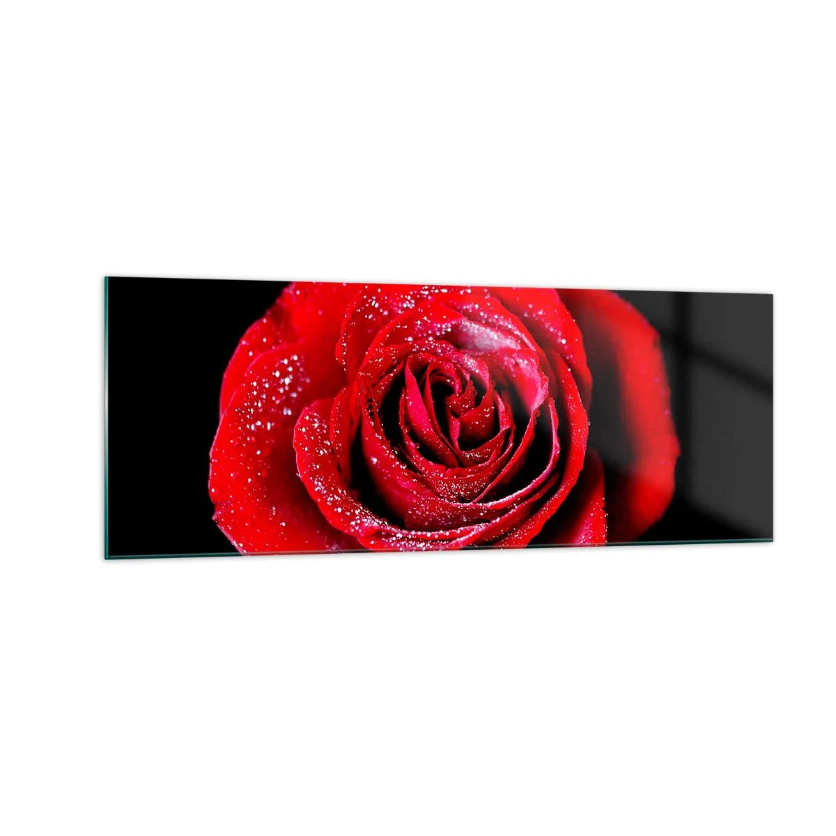 Impression sur verre - Image sur verre - Une rose rouge couverte de gouttes de rosée sur fond noir. - 140x50cm - C'est ça l'amour - Décoration murale moderne pour le salon et la chambre ARTTOR