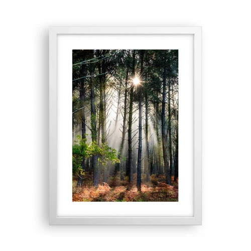 Affiche dans un cadre blanc - Poster - Une zone forestière - 30x40 cm