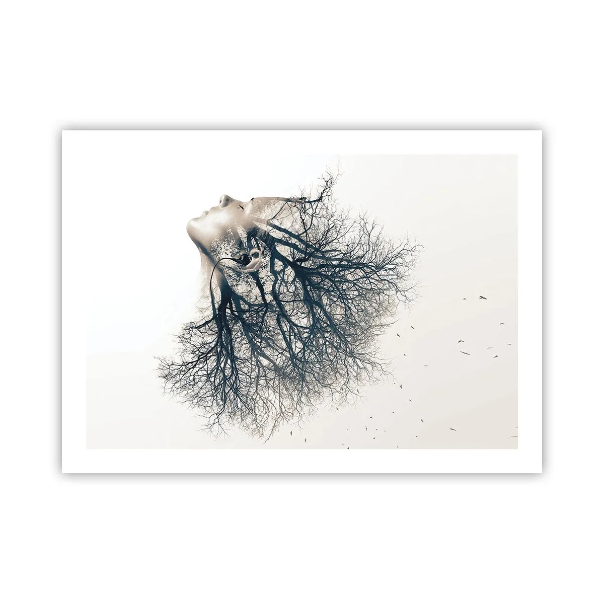 Affiche - Poster - Écouter le murmure des arbres - 70x50 cm