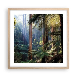 Affiche dans un chêne clair - Poster - Fable de la forêt - 50x50 cm