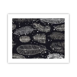 Affiche - Poster - Toile de plumes - 50x40 cm