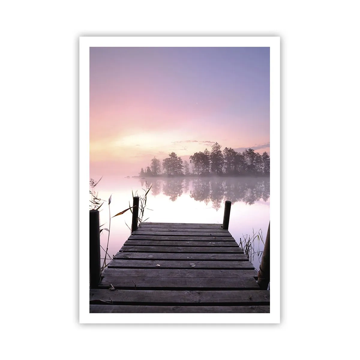 Affiche - Poster - De la brume lilas… - 70x100 cm