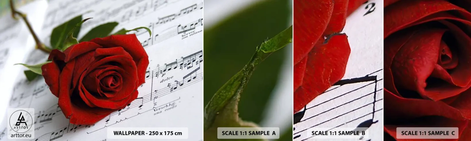 Échantillon de Papier Peint Autocollant Deluxe Sticker - Musique des sentiments en écarlate - Fleurs, Rose, Musique - 100x30 cm